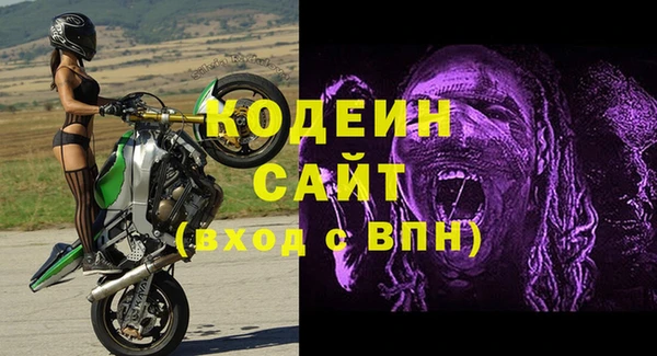 ГАЛЛЮЦИНОГЕННЫЕ ГРИБЫ Аркадак