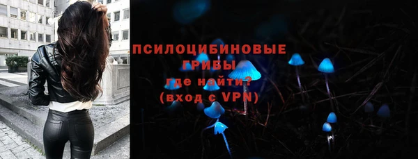 ГАЛЛЮЦИНОГЕННЫЕ ГРИБЫ Аркадак
