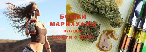 ГАЛЛЮЦИНОГЕННЫЕ ГРИБЫ Аркадак