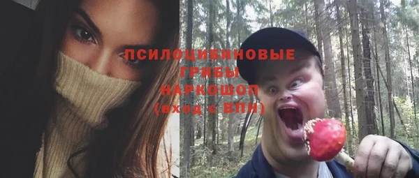 гидра Армянск